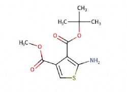 3-(tert-butyl) 4-methyl 2-aminothiophene-3,4-dicarboxylate