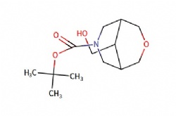 tert-butyl 9-(hydroxymethyl)-3-oxa-7-azabicyclo[3.3.1]nonane-7-carboxylate