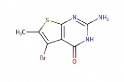 2-amino-5-bromo-6-methylthieno[2,3-d]pyrimidin-4(3H)-one
