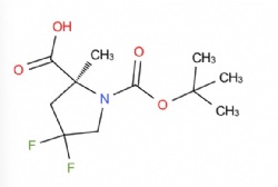 (2S)-1-Boc-4,4-difluoro-2-methylpyrrolidine-2-carboxylic acid