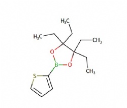1,3,2-Dioxaborolane, 4,4,5,5-tetraethyl-2-(2-thienyl)-