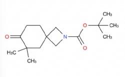 tert-butyl 6,6-dimethyl-7-oxo-2-azaspiro[3.5]nonane-2-carboxylate