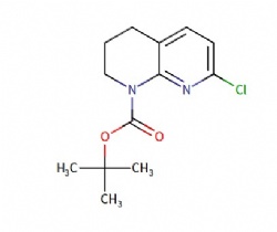 tert-butyl 7-chloro-3,4-dihydro-2H-1,8-naphthyridine-1-carboxylate