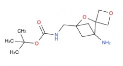 tert-butyl ((1-amino-3-oxaspiro[bicyclo[2.1.1]hexane-2,3'-oxetan]-4-yl)methyl)carbamate