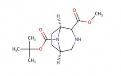8-(tert-butyl) 2-methyl (1S,5R)-3,8-diazabicyclo[3.2.1]octane-2,8-dicarboxylate
