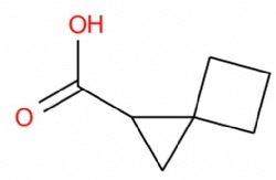 Spiro(2.3)hexane-1-carboxylic Acid