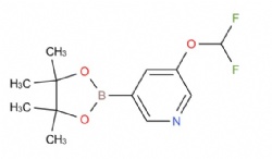 3-(difluoromethoxy)-5-(4,4,5,5-tetramethyl-1,3,2-dioxaborolan-2-yl)pyridine