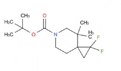 tert-butyl 1,1-difluoro-4,4-dimethyl-6-azaspiro[2.5]octane-6-carboxylate