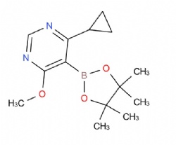 4-cyclopropyl-6-methoxy-5-(4,4,5,5-tetramethyl-1,3,2-dioxaborolan-2-yl)pyrimidine
