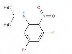 5-bromo-3-fluoro-N-isopropyl-2-nitroaniline