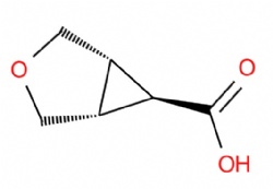 Exo-3-oxabicyclo(3.1.0)hexane-6-carboxylic acid