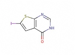 6-iodothieno[2,3-d]pyrimidin-4(3H)-one