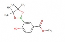 methyl 4-hydroxy-3-(4,4,5,5-tetramethyl-1,3,2-dioxaborolan-2-yl)benzoate