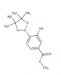 Methyl 3-hydroxy-4-(4,4,5,5-tetramethyl-1,3,2-dioxaborolan-2-yl)benzoate