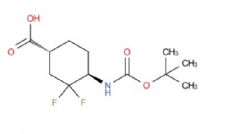 (1R,4R)-4-((tert-butoxycarbonyl)amino)-3,3-difluorocyclohexane-1-carboxylic acid