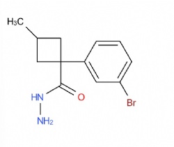 1-(3-bromophenyl)-3-methylcyclobutane-1-carbohydrazide