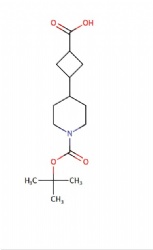 3-(1-(tert-butoxycarbonyl)piperidin-4-yl)cyclobutane-1-carboxylic acid