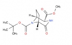 8-(tert-butyl) 2-methyl (1S,2S,5R)-4-oxo-3,8-diazabicyclo[3.2.1]octane-2,8-dicarboxylate