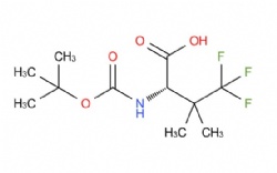 (S)-2-((tert-butoxycarbonyl)amino)-4,4,4-trifluoro-3,3-dimethylbutanoic acid