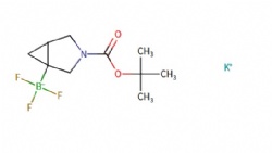 potassium (3-(tert-butoxycarbonyl)-3-azabicyclo[3.1.0]hexan-1-yl)trifluoroborate