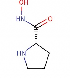 2-Pyrrolidinecarboxamide,N-hydroxy-,(2S)-(9CI)