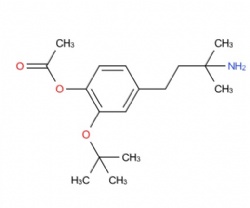 4-(3-amino-3-methylbutyl)-2-(tert-butoxy)phenyl acetate