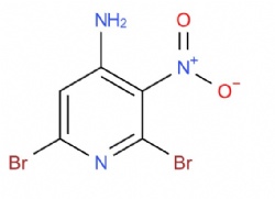 2,6-dibromo-3-nitropyridin-4-amine
