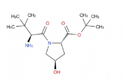 tert-butyl (2S,4R)-1-((S)-2-amino-3,3-dimethylbutanoyl)-4-hydroxypyrrolidine-2-carboxylate