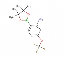 2-(4,4,5,5-tetramethyl-1,3,2-dioxaborolan-2-yl)-5-(trifluoromethoxy)aniline