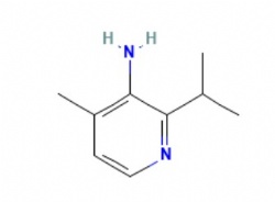 4-methyl-2-propan-2-ylpyridin-3-amine