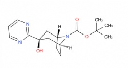 tert-butyl 3-endo-3-hydroxy-3-(pyrimidin-2-yl)-8-azabicyclo[3.2.1]octane-8-carboxylate