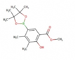 methyl 2-hydroxy-3,4-dimethyl-5-(4,4,5,5-tetramethyl-1,3,2-dioxaborolan-2-yl)benzoate