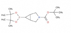 tert-butyl 6-(4,4,5,5-tetramethyl-1,3,2-dioxaborolan-2-yl)-3-azabicyclo[3.1.0]hexane-3-carboxylate