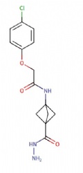 2-(4-chlorophenoxy)-N-(3-(hydrazinecarbonyl)bicyclo[1.1.1]pentan-1-yl)acetamide