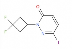 2-(3,3-difluorocyclobutyl)-6-iodopyridazin-3(2H)-one