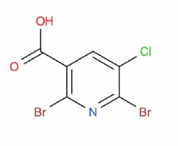 2,6-dibromo-5-chloronicotinic acid