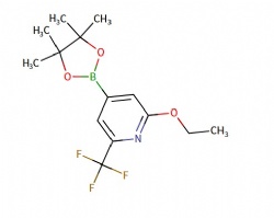 2-ethoxy-4-(4,4,5,5-tetramethyl-1,3,2-dioxaborolan-2-yl)-6-(trifluoromethyl)pyridine