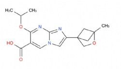 7-isopropoxy-2-(1-methyl-2-oxabicyclo[2.1.1]hexan-4-yl)imidazo[1,2-a]pyrimidine-6-carboxylic acid