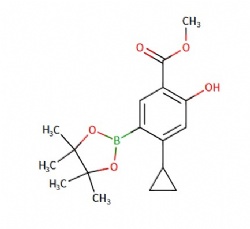 methyl 4-cyclopropyl-2-hydroxy-5-(4,4,5,5-tetramethyl-1,3,2-dioxaborolan-2-yl)benzoate