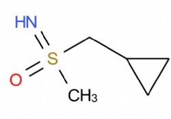 Cyclopropylmethyl-imino-methyl-oxo-sulfane
