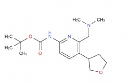 tert-butyl (6-((dimethylamino)methyl)-5-(tetrahydrofuran-3-yl)pyridin-2-yl)carbamate