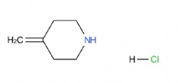 4-Methylenepiperidine hydrochloride