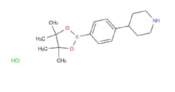 4-(4-(4,4,5,5-tetramethyl-1,3,2-dioxaborolan-2-yl)phenyl)piperidine hydrochloride