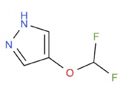 4-(difluoromethoxy)-1H-pyrazole
