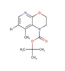 tert-butyl 7-bromo-8-methyl-2,3-dihydro-1H-pyrido[2,3-b][1,4]oxazine-1-carboxylate