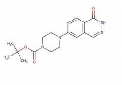 tert-butyl 4-(1-oxo-1,2-dihydrophthalazin-6-yl)piperazine-1-carboxylate