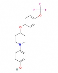4-[4-[4-(trifluoromethoxy)phenoxy]piperidin-1-yl]phenol