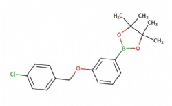 2-(3-((4-chlorobenzyl)oxy)phenyl)-4,4,5,5-tetramethyl-1,3,2-dioxaborolane