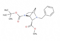 O2-tert-butyl O6-methyl (1S,4S,6S)-5-benzyl-2,5-diazabicyclo[2.2.1]heptane-2,6-dicarboxylate