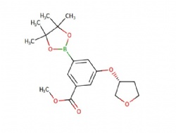 methyl (R)-3-((tetrahydrofuran-3-yl)oxy)-5-(4,4,5,5-tetramethyl-1,3,2-dioxaborolan-2-yl)benzoate